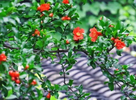 第一篇 7月1日8.png